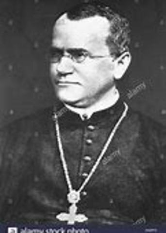 Mendel