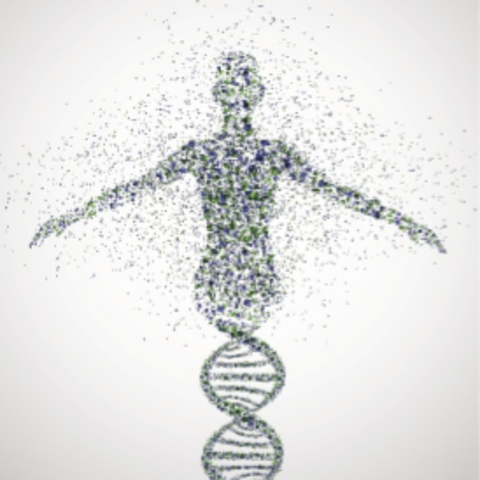 Human Genome Project