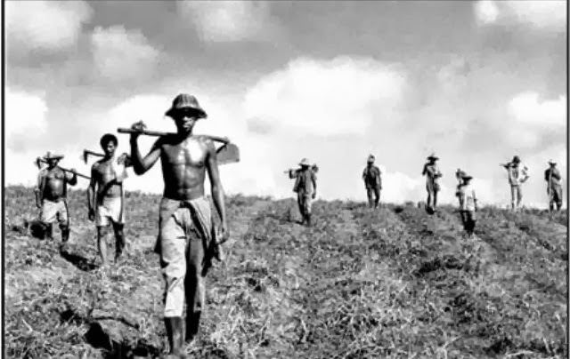 A Lei de Terras e o monopólio da propriedade