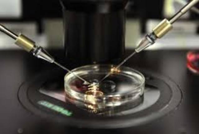 Scientists discover how to use human skin cells to create embryonic stem cells