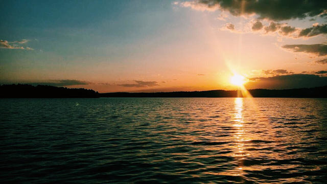 Learned To Swim (2004)