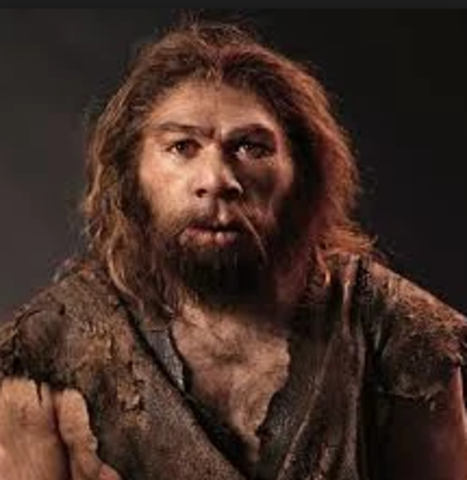 Homo neardentharlensis