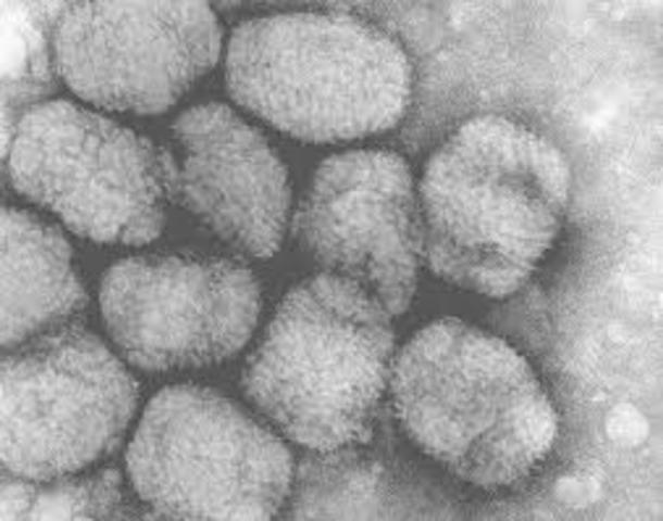 Smallpox eradicated