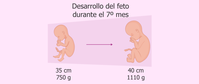 Ojos sensibles a la luz