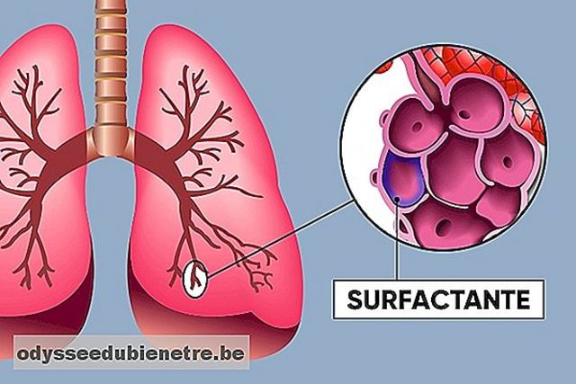 Aumenta surfactante pulmonar