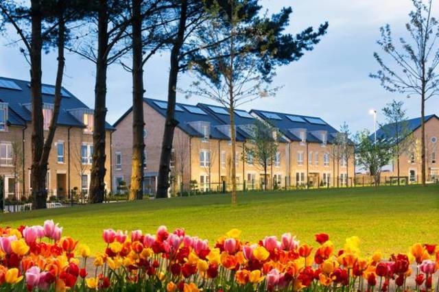 Roseland 2015 - 2018