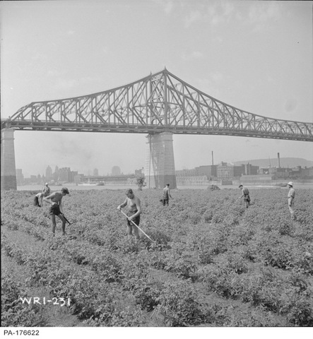 Regional development, urban agglomeration and new arrivals