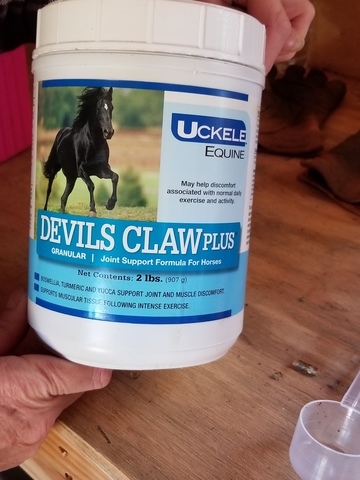 Hace cuatro semanas que trabajando caballos de mujer.