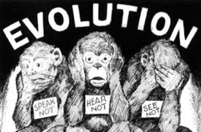 Evolution vs Creation