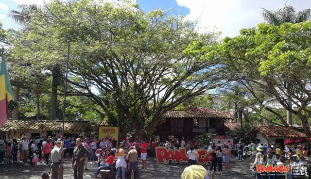 RESULTADOS EN SU PRIMER AÑO