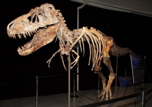 1858 – First full dinosaur skeleton found