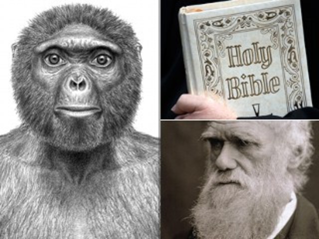 Recull proves per probar la seva teoria