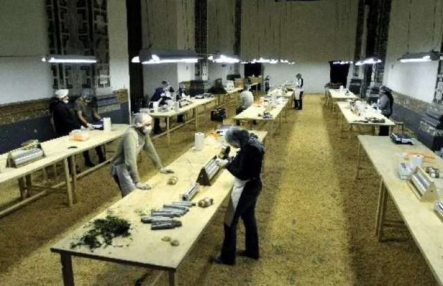 CREACION DEL PLASTICO