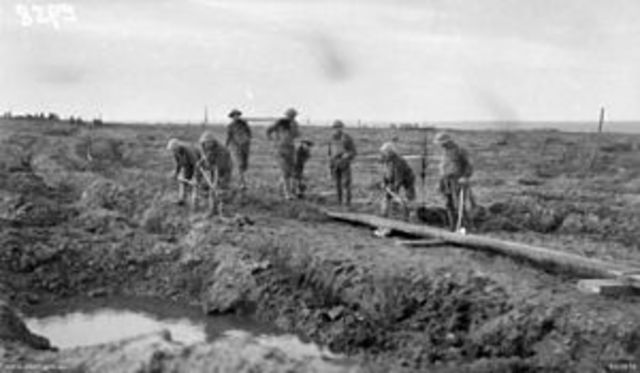 Efforts to find brother- Arnold Hoke