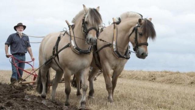 Et nyt seletøj er blevet opfundet