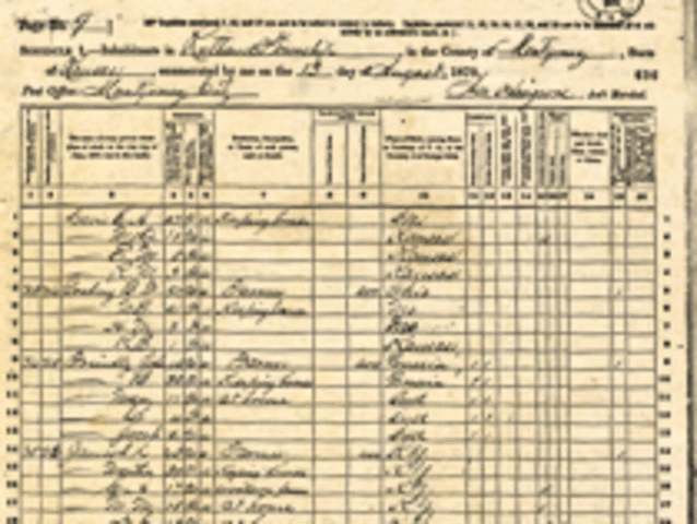 Census indicates population over 100 million