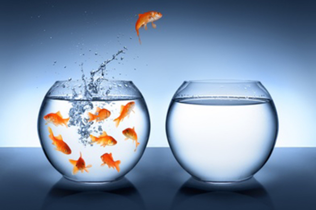 Veleia città libera