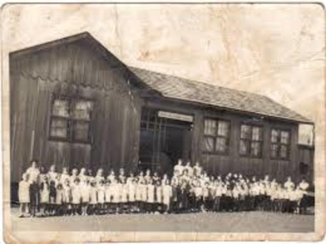 invenção da escola