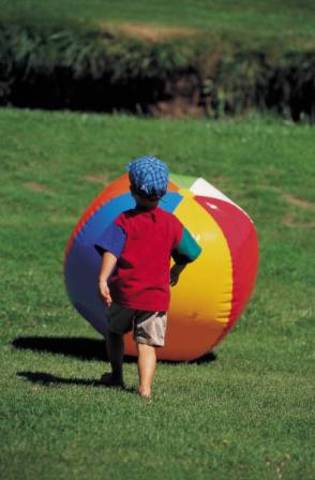 31 to 36 months physical