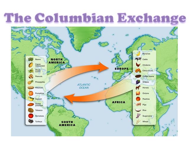 The Colombian Exchange