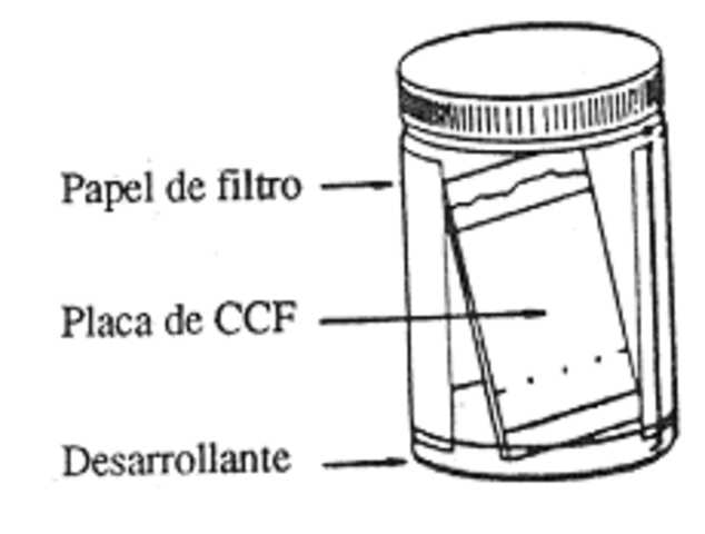 Izmailov y Schraiber