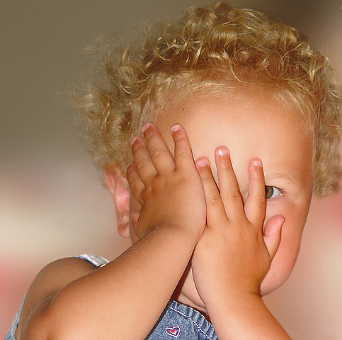 19-24 months cognitive developement