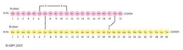 Primer proteína secuenciada.