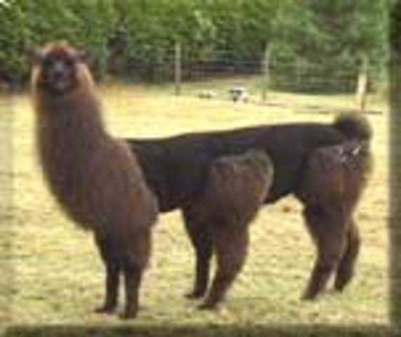 Stephen Geib's Birthday