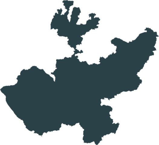 Gobierno de Fermín Riestra