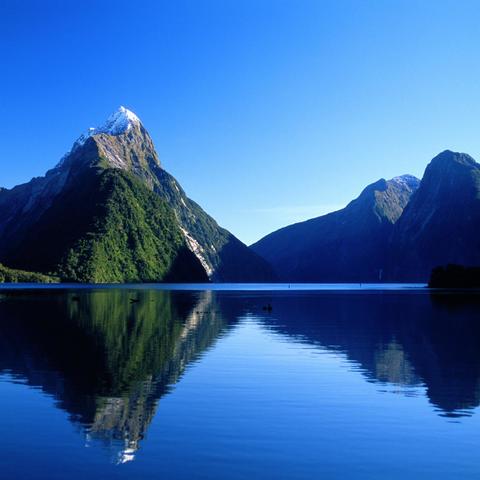PARK NARODOWY- FIORDLAND