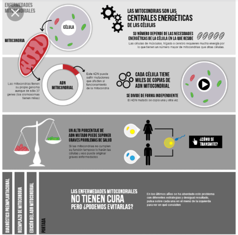 Evolucion de los sindromes por alteracion del ADN