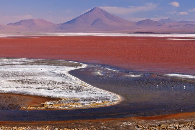 Laguna Colorada, Boliwia