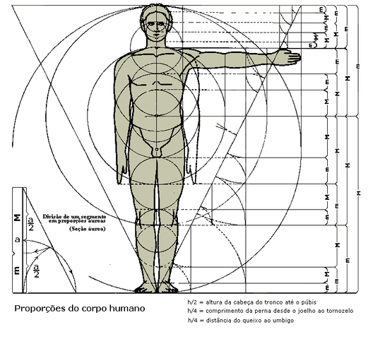 O corpo como unidade