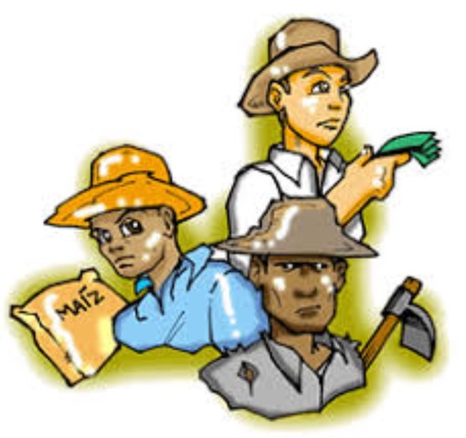 Organización política-Estados Generales