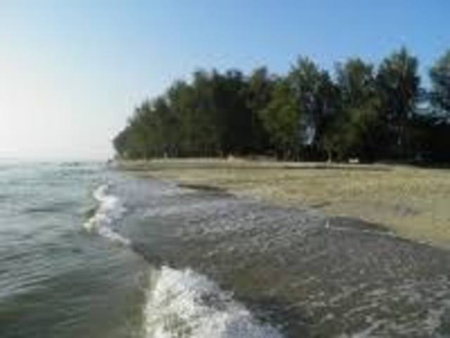 Prince Parameswara from Java flees to the west coast of Malaya