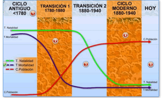 Ciclo Demográfico Antiguo