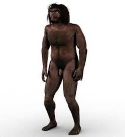 Homo antecessor