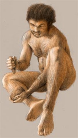 Homo heidelbergensis