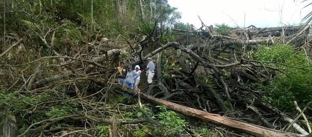 El caso del grupo de Palmas
