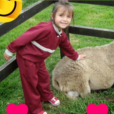 Mi visita a la granja