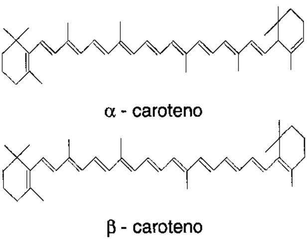 Avance de la técnica