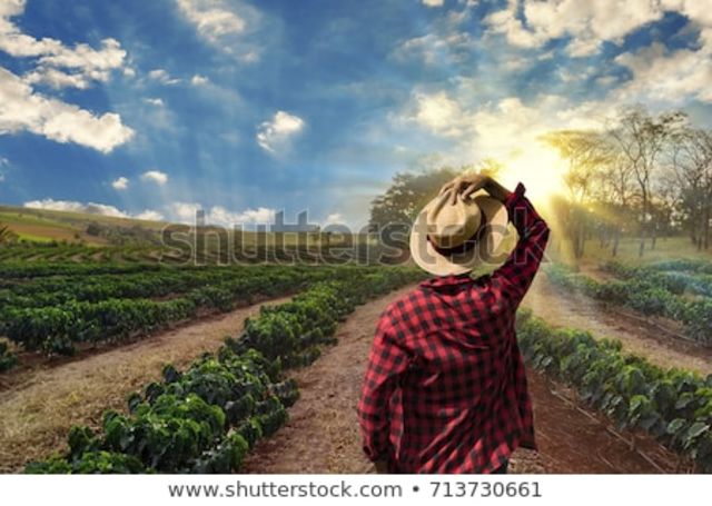 REVOLUCION MEXICANA 1910