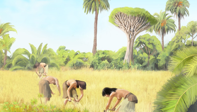 Primeros poladores de canarias