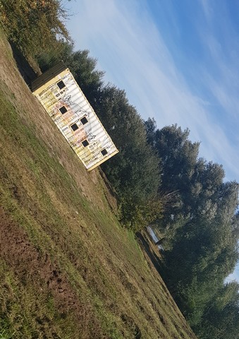 Kunst in je omgeving