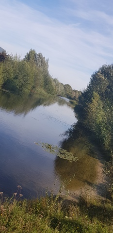 Kunst in je omgeving