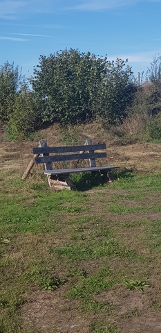 Kunst in je omgeving