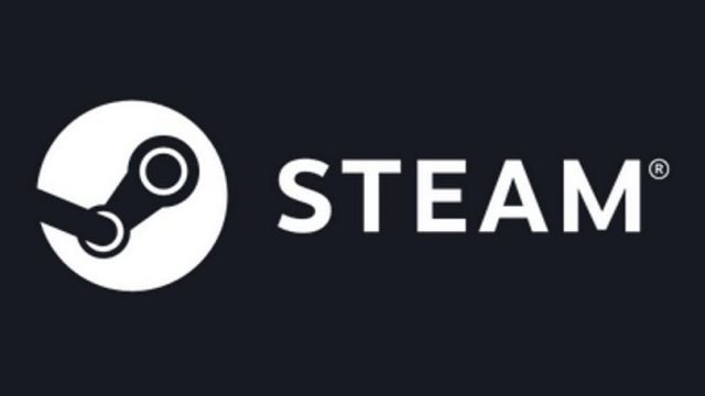 Lancement de Steam