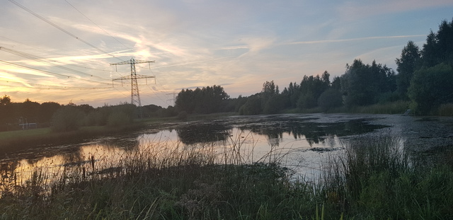 Kunst in je omgeving