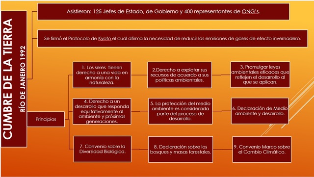 Rio de Janeiro (1992):Conferencia Cumio da Terra ou “Rio 92”