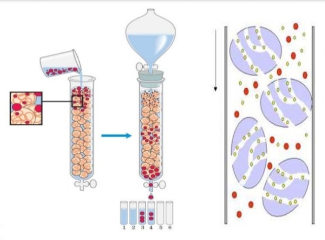 Cromatografia como herramienta analitica